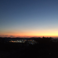 선택