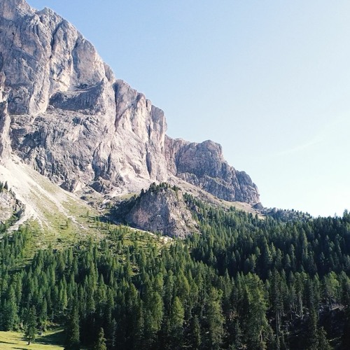 Wilderness - Sound of S (prod. Comura)