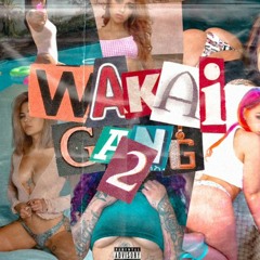 Wakai Gang II (ft. @wantedgust4k, @wakai_juan, @_rain4k  & @lacheffsense)