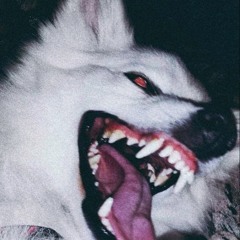F!ght W!th!n
