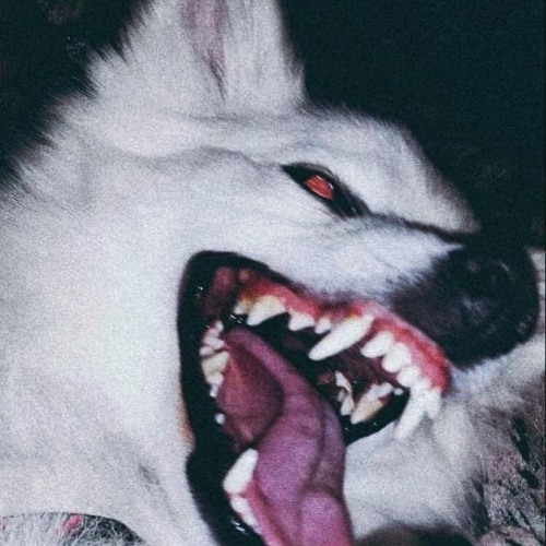 F!ght W!th!n
