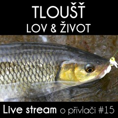 Přívlač Live #15 Jak ulovit tlouště a jeho život