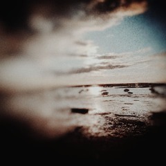 Dawn Clarity