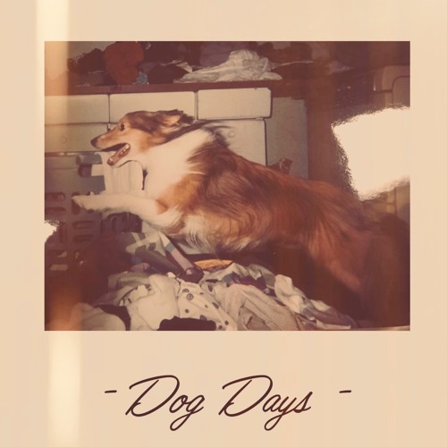 Dog Days'' Online HD