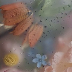 Седьмой лепесток-HI-FI
