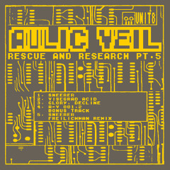 Aulic Veil - Glory, Decline