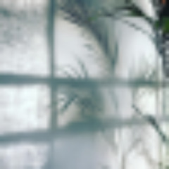 OGT Ruff Cuts March 2025