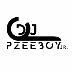 DJ PZEEBOY JR TECNICA 1 ENSAIOS "BEATS AND GUETTO"