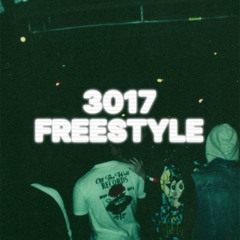3017 freestyle