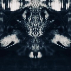 Deadmau5 - Everything you are (Chosko dubstep remix)