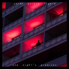 One Night's Promises