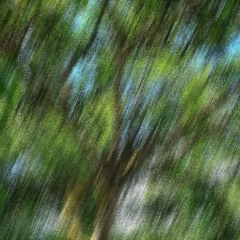 𝒜𝓊𝓉𝑜𝒷𝒾𝑜𝑔𝓇𝒶𝓅𝒽𝓎