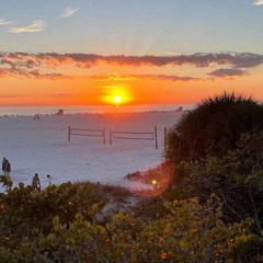 Chandalier by will paquin 𝔹𝕃𝔼𝕊𝕊𝔼𝔻 remix