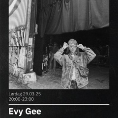 #132 29.03.25 Special Guest Evy Gee + Romskip & Planeter and Klysterik