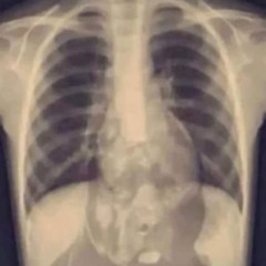 CURSIO - WHO LET THE DOGS OUT x SEE YOU DROP (RAY VOLPE BAHA MEN H! DUDE ANGEL CANNON RVNBAEK)