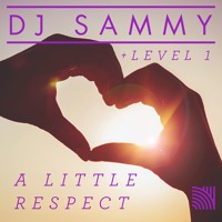 DJ Sammy - A Little Respect (Aevion Remix)