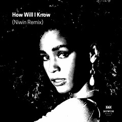 How Will I Know - Whitney Houston (Niwin Remix)