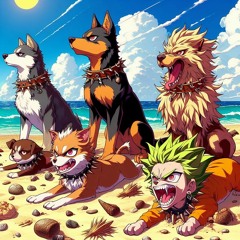 Dogs in these beaches