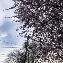 i dont even know (remember.) ft. jax (prod. kiro)