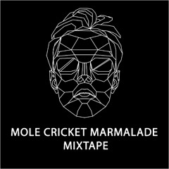 Mole Cricket Marmalade Mixtape August 2025
