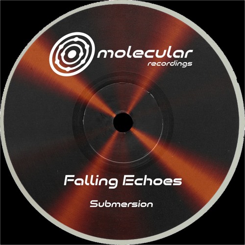 Falling Echoes - Tunnel 1 [Premiere I MOL041D]