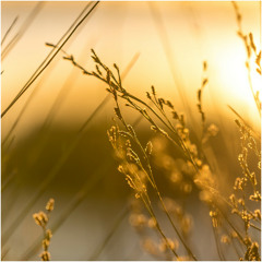 SERENIDAD - Paz Interior Profunda y Curación