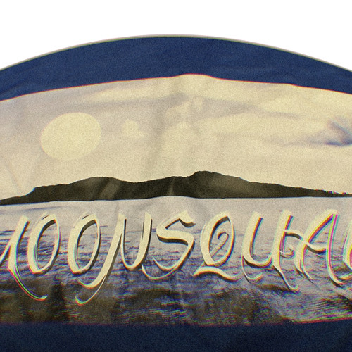 Moonsquad-(vizviz🎤)