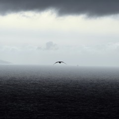 |16| Radijator ➟ Guest Mix: Robert R. Hardy [Radio Korzo 98.4 fm]