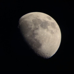 Moonchaser