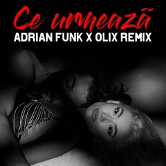 Andia - Ce Urmeaza (Adrian Funk X OLiX Remix)