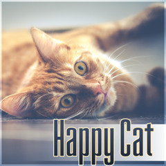 music to calm down cats
