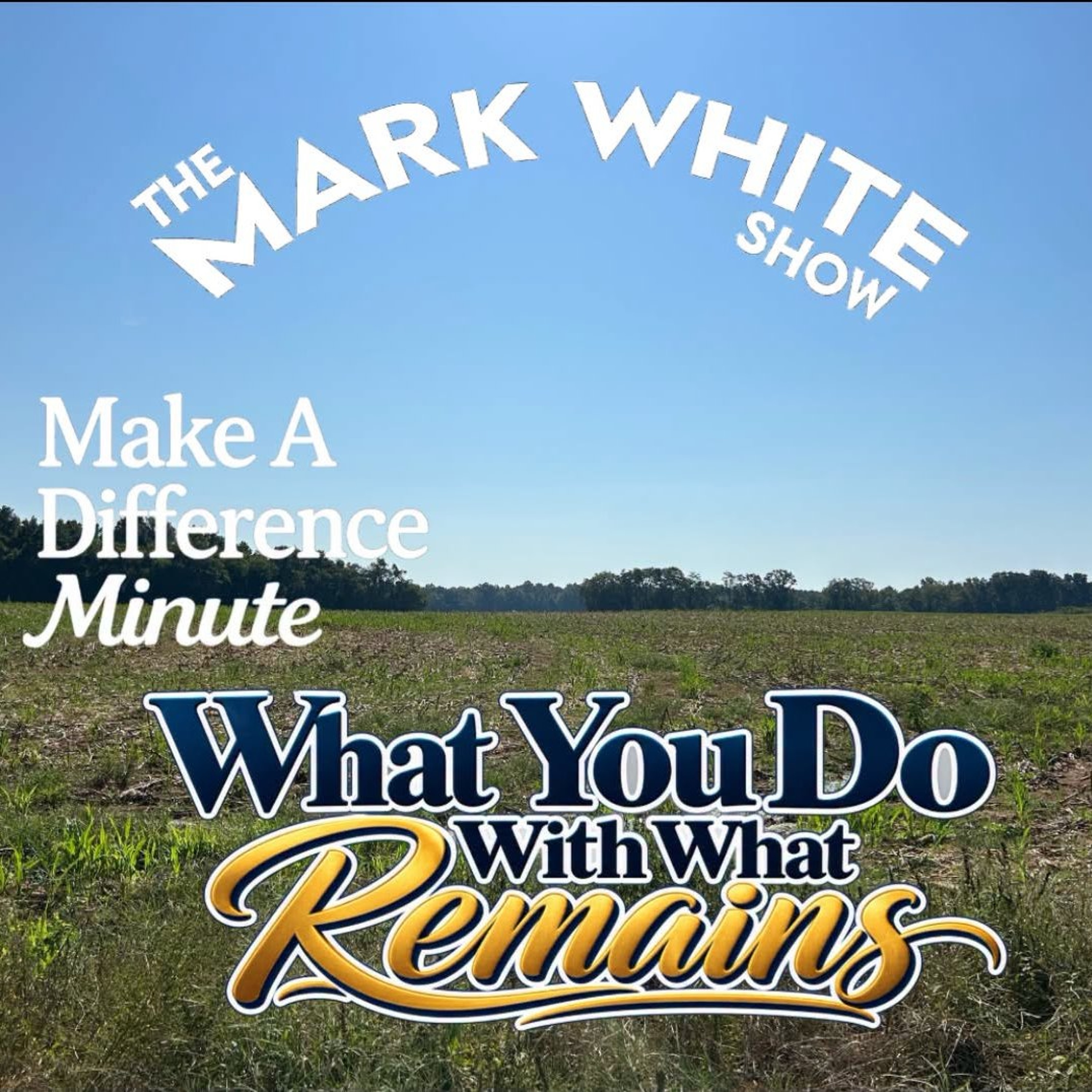 Make A Difference Minute: What You Do With What Remains episode artwork