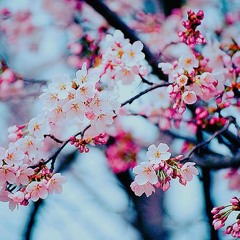 if they say you're too much, maybe they're not enough.