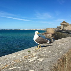 190523_1005 - Promenade à St Malo