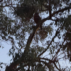 IF I SAY SO, I just posted a track for fun and no one even checked it