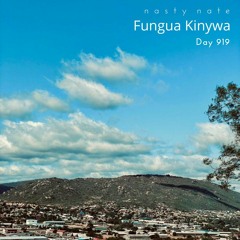 n a s t y  n a t e - Fungua Kinywa. Day 919 - AMAPIANO