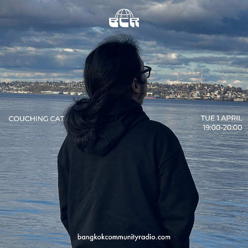Couching Cat - 1st April 2025