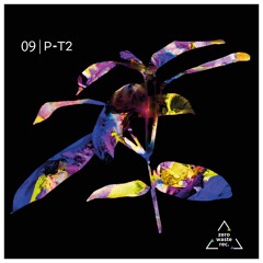 09 ▲ P-T2 (vinyl mix)