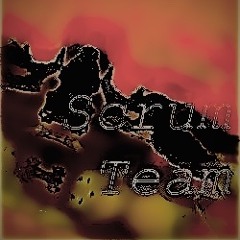 Scrum team