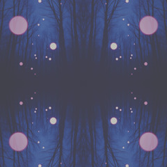 Nocturnal Pulse Echo #625