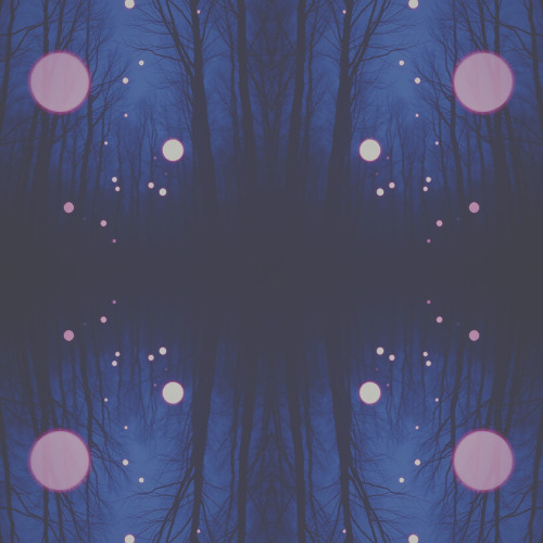 Nocturnal Pulse Echo #625