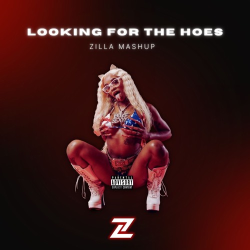 LOOKING FOR THE HOES X PUSH THE BUTTON (ZILLA TECH HOUSE MASHUP)