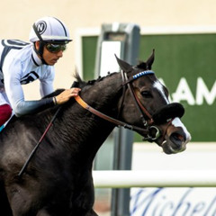 My Race Call Of The 2025 Wickerr Stakes At Del Mar Racetrack