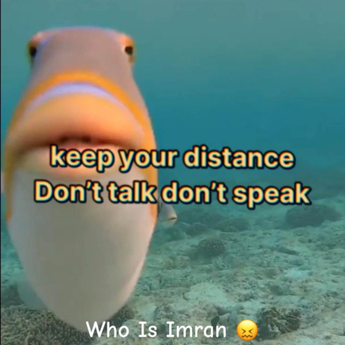 Don't Talk Don't Speak (prod. WHO IS IMRAN?)