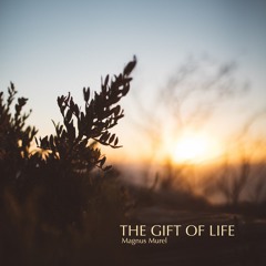 The Gift of Life - Magnus Murel #LABScommunity #LABSsoftpiano