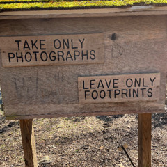 SBL BCC May 2025 - 'Leave Only Footprints' (modal blues in c minor) aiff