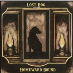 Dirty Dog- Lost dog street band
