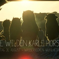 Danney_8.30h@ Wo die wilden Kerle Horsten, Wild-Wuhlheide Berlin, 31.08.2013.MP3