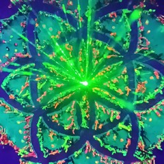 blOOming Psy