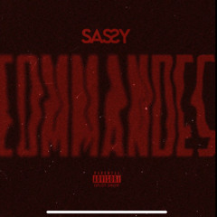 Sassy- COMMANDES